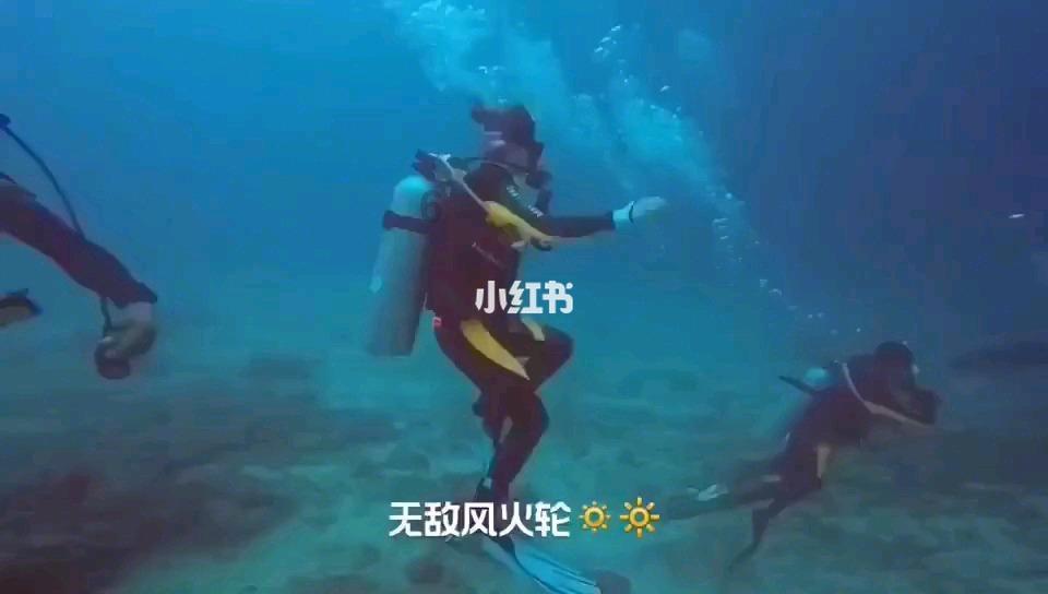 加勒比巡航