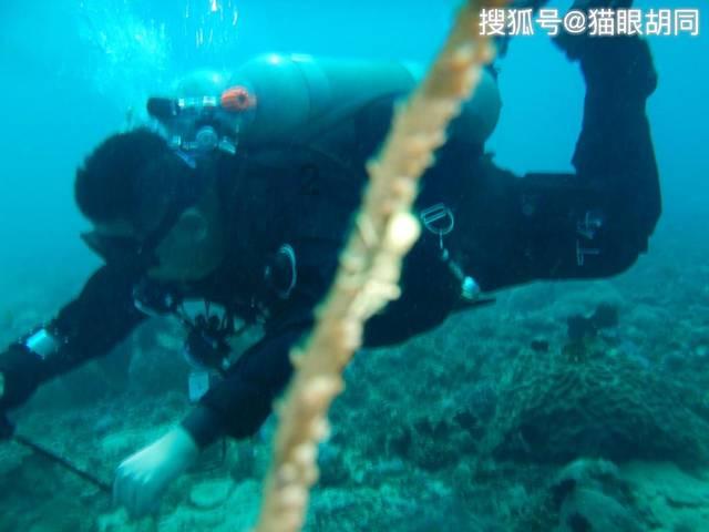 比神秘四奥还要神秘，全都来自远古，他们的来历你知道吗游戏画面