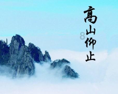 比熊犬新手养狗攻略