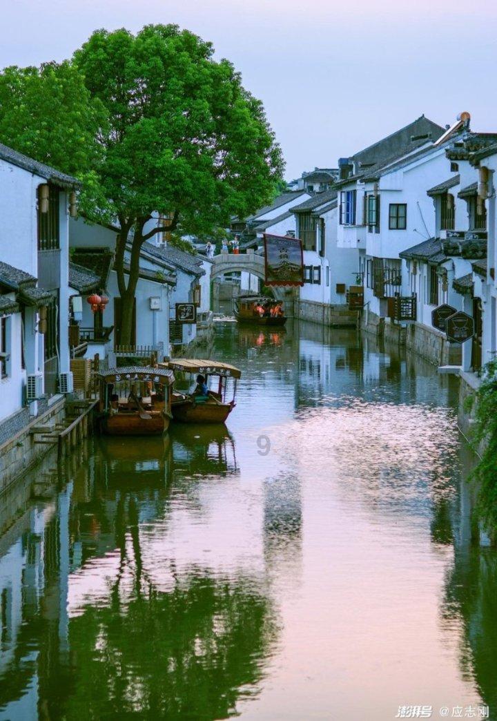 蝎子逃生之地